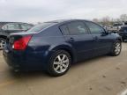 2004 Nissan Maxima Se for Sale in Louisville, KY - Front End