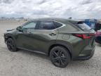 2024 Lexus Nx 450H Luxury na sprzedaż w Earlington, KY - Front End