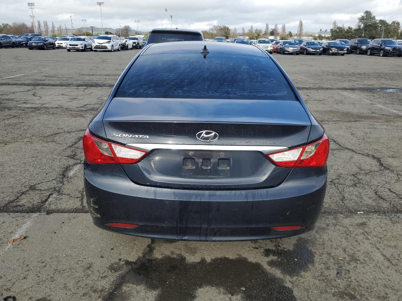 2013 Hyundai Sonata Gls VIN: 5NPEB4AC6DH698204 Lot: 49708435