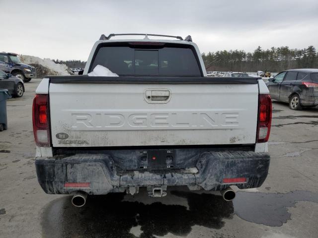  HONDA RIDGELINE 2024 Biały