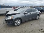 2009 Honda Accord Exl за продажба в Indianapolis, IN - All Over