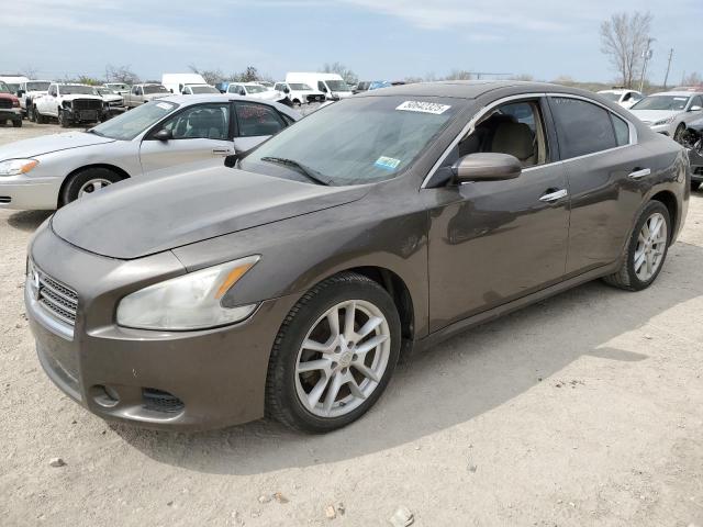 Седаны NISSAN MAXIMA 2014 Коричневый