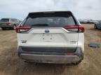 2020 Toyota Rav4 Limited للبيع في Elgin، IL - Front End