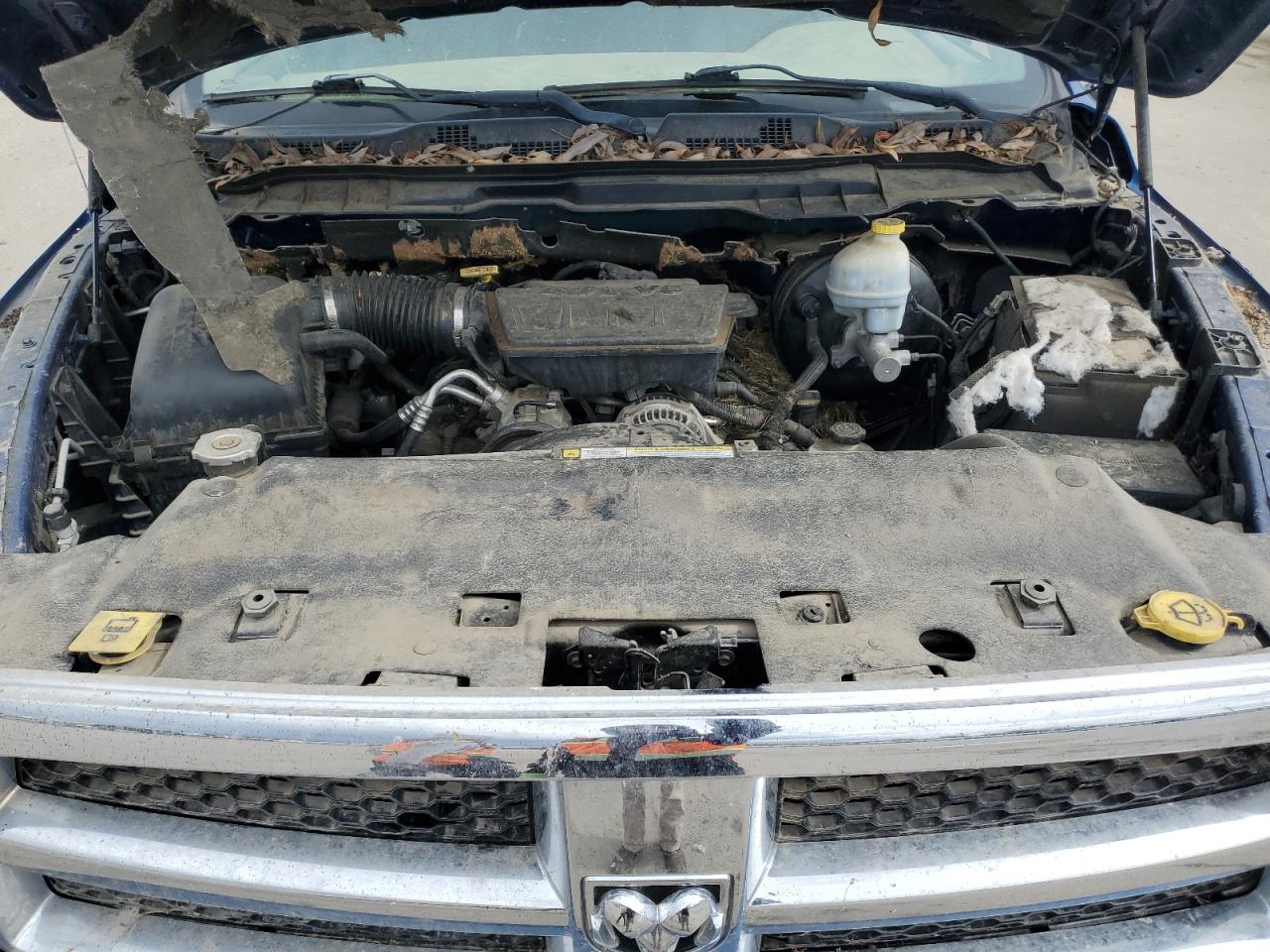 2010 Dodge Ram 1500 VIN: 1D7RV1GPXAS225071 Lot: 51284845