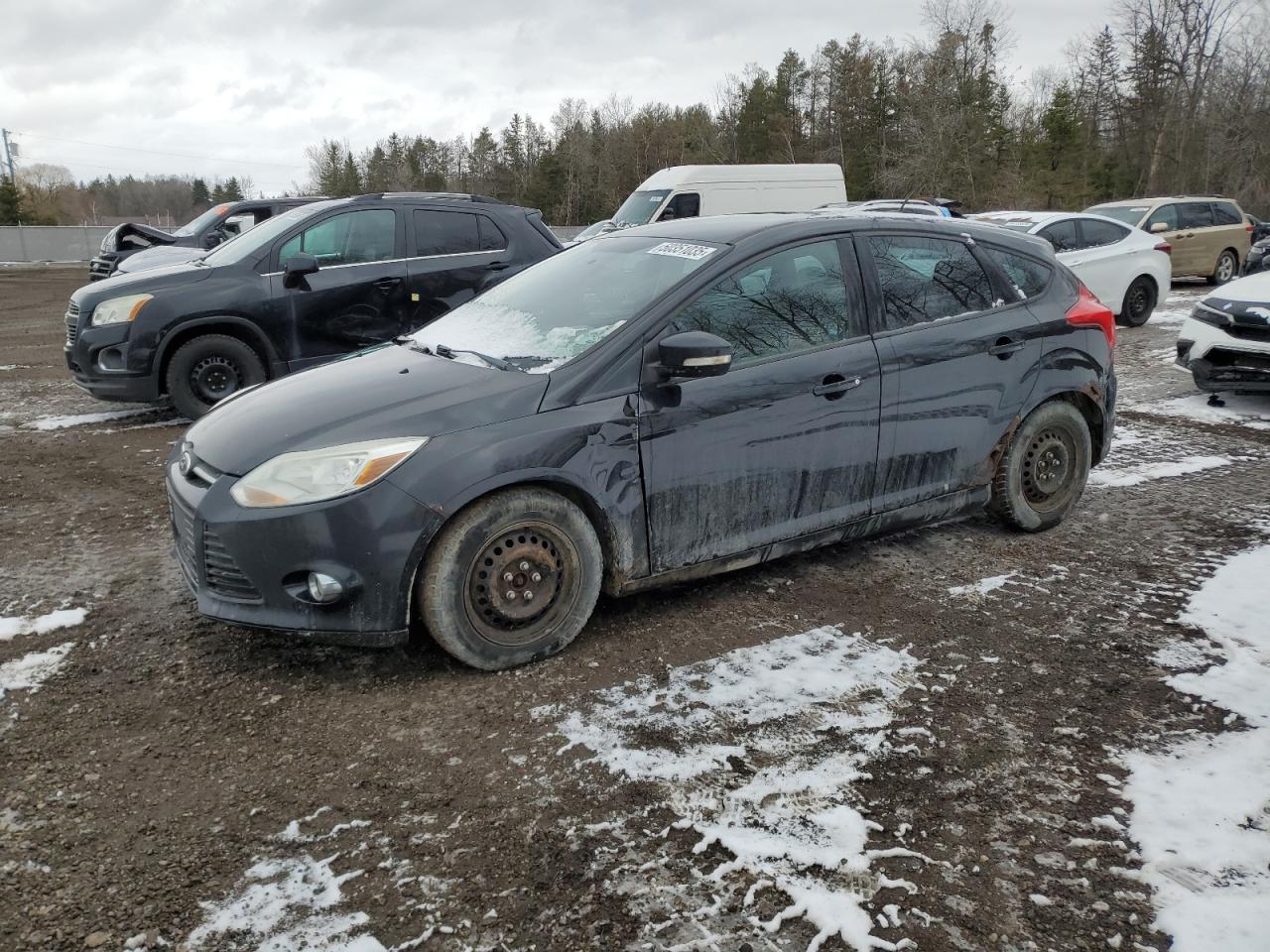 2013 Ford Focus Se იყიდება Cookstown-ში, ON - Side