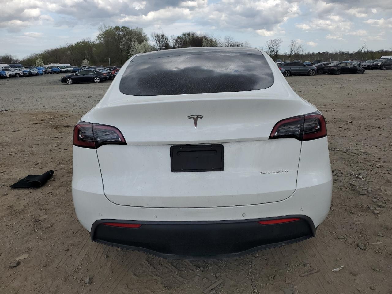 2022 Tesla Model Y VIN: 7SAYGDEE2NF386300 Lot: 50848805