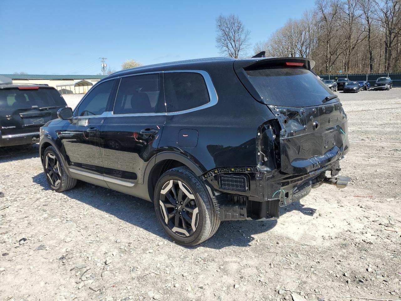 2023 Kia Telluride - Image 2