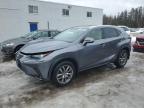 2020 LEXUS NX 300 à vendre chez Copart ON - COOKSTOWN