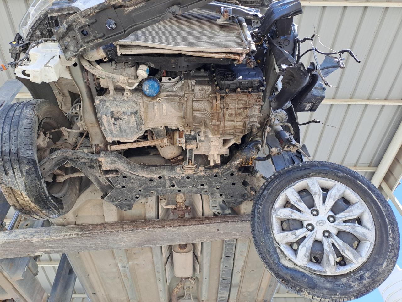 MALC741C2PM342784 - 2013 Hyundai Accent - #48831905