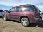 2006 Chevrolet Trailblazer Ls продається в Brighton, CO - Side