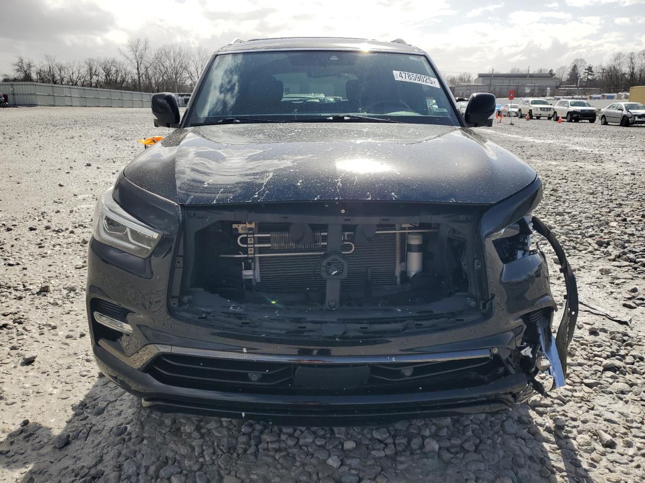 2020 Infiniti QX80 - Image 5