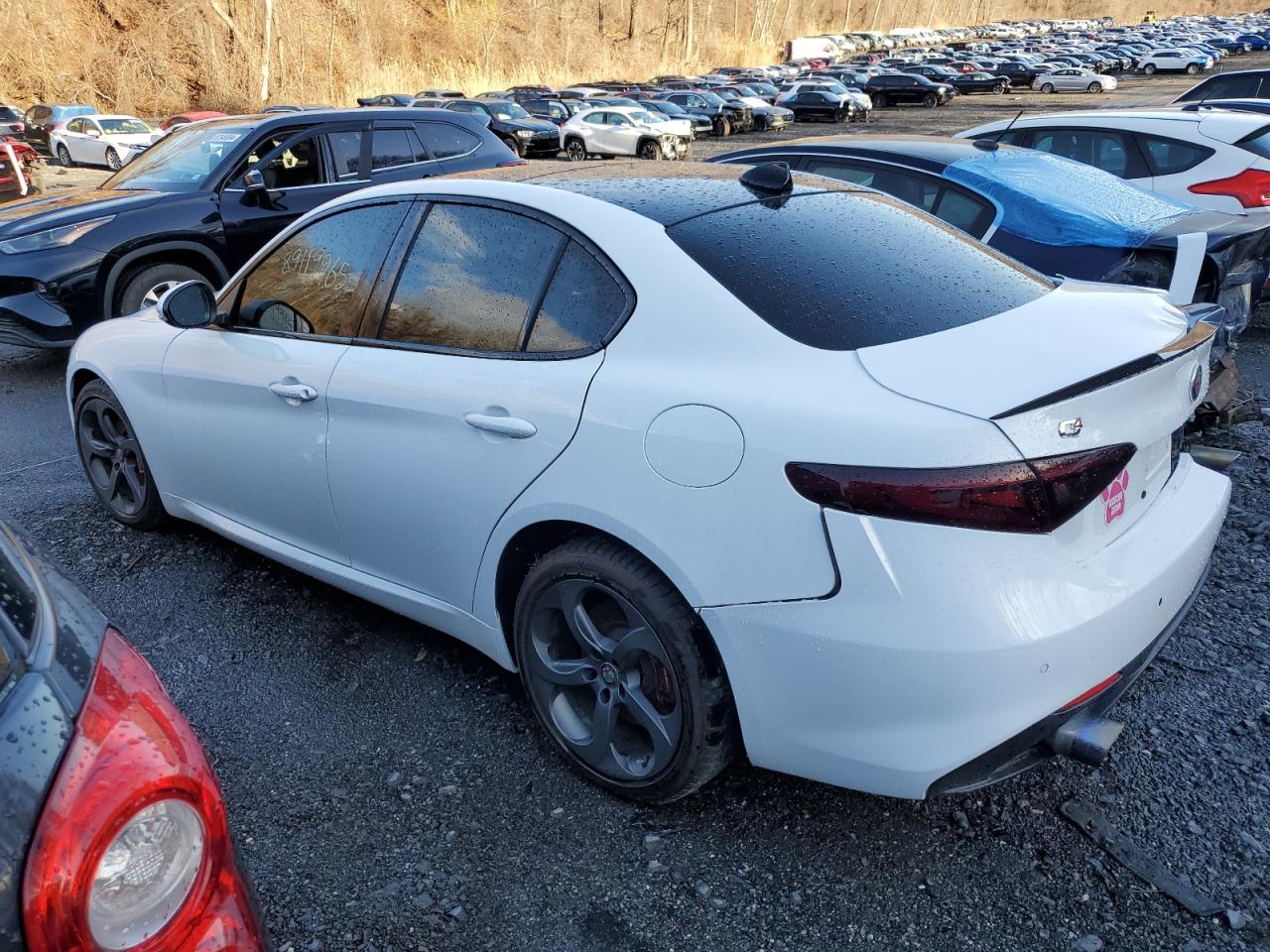 2019 Alfa Romeo Giulia - Image 2