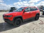 Wayland, MI에서 판매 중인 2019 Jeep Cherokee Trailhawk - Side