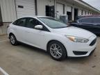 2017 Ford Focus Se de vânzare în Louisville, KY - Hail