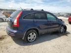 2010 Honda Cr-V Exl for Sale in Jacksonville, FL - Front End