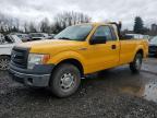 2013 FORD F150 à vendre chez Copart OR - PORTLAND NORTH