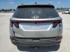 2023 Hyundai Tucson Sel   for Sale in West Palm Beach, FL - Rear End