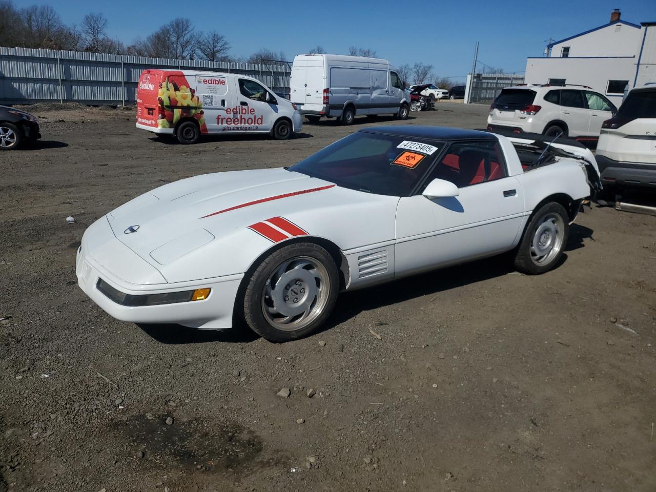 1991 Chevrolet Corvette продається в Windsor, NJ - Rear End