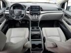 2021 Honda Odyssey Exl for Sale in Louisville, KY - Hail