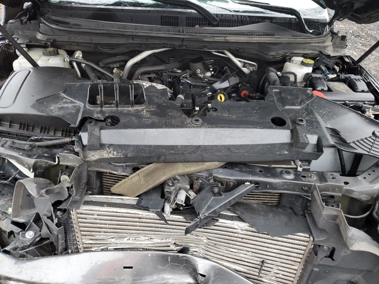 2020 Ford Ranger Xl VIN: 1FTER4FH2LLA32175 Lot: 49434405