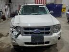 2011 Ford Escape Xlt   en Venta en Billings, MT - Front End