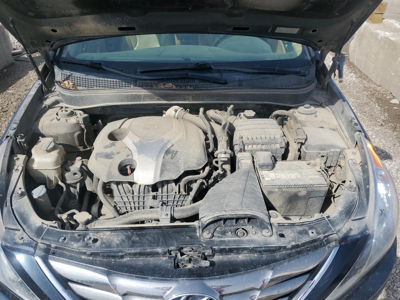 2013 Hyundai Sonata Se VIN: 5NPEC4AB5DH645966 Lot: 51115965