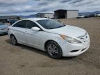 2012 Hyundai Sonata Gls for Sale in Helena, MT - Front End