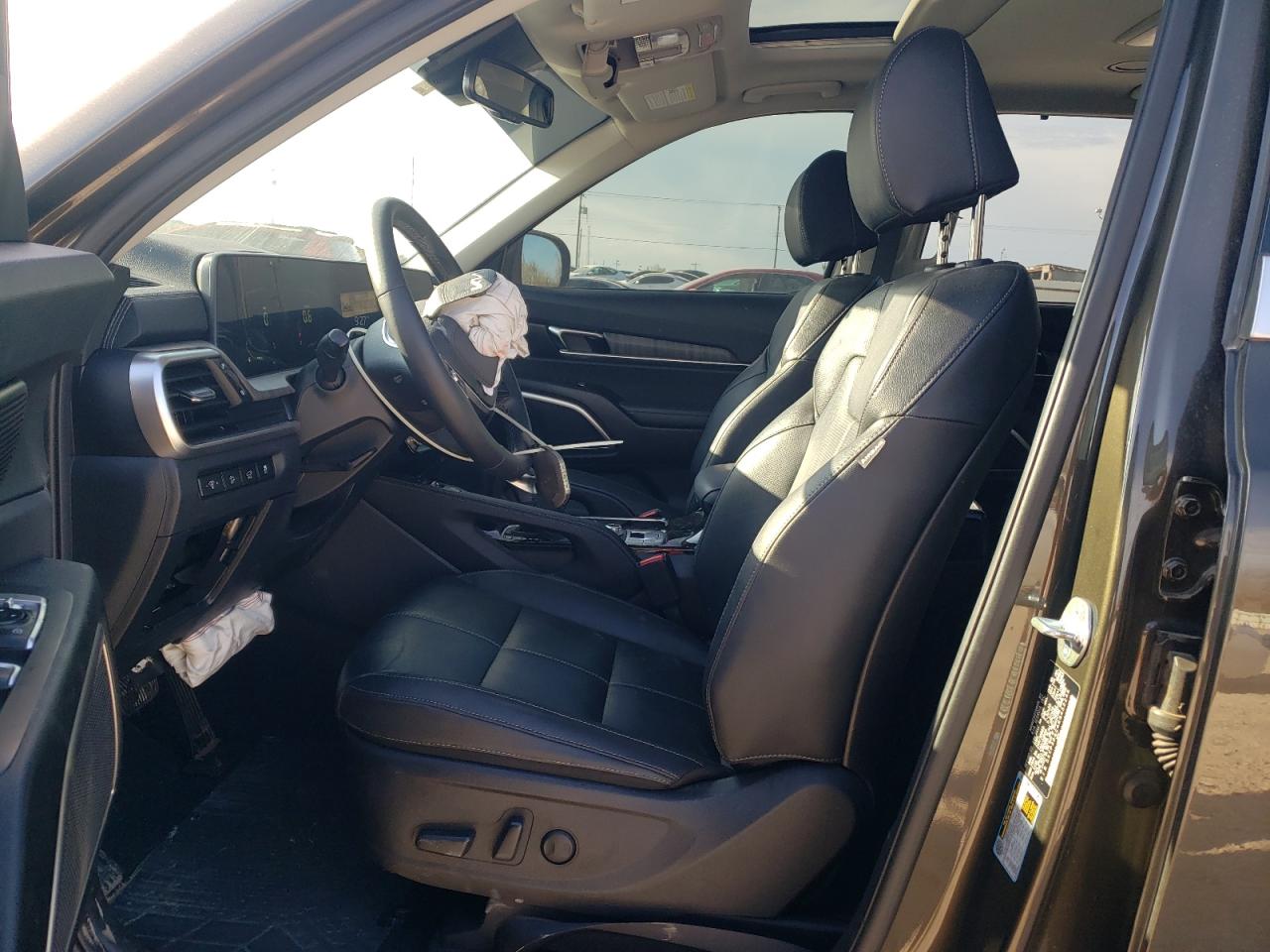 2024 Kia Telluride Ex VIN: 5XYP3DGC4RG452246 Lot: 50461355