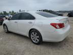 2008 Lexus Es 350 للبيع في Houston، TX - Hail