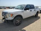 San Antonio, TX에서 판매 중인 2014 Ford F150 Supercrew - Front End