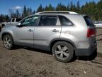 2013 Kia Sorento Ex   zu verkaufen in Graham, WA - Side