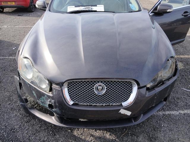 2009 JAGUAR XF PREMIUM