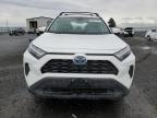2024 Toyota Rav4 Le за продажба в Airway Heights, WA - All Over