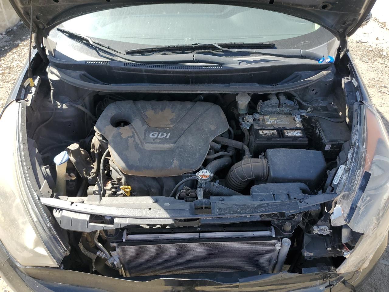 2013 Kia Rio Ex VIN: KNADN5A31D6123668 Lot: 50395885