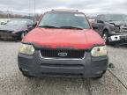 2002 Ford Escape Xlt en Venta en Louisville, KY - Hail
