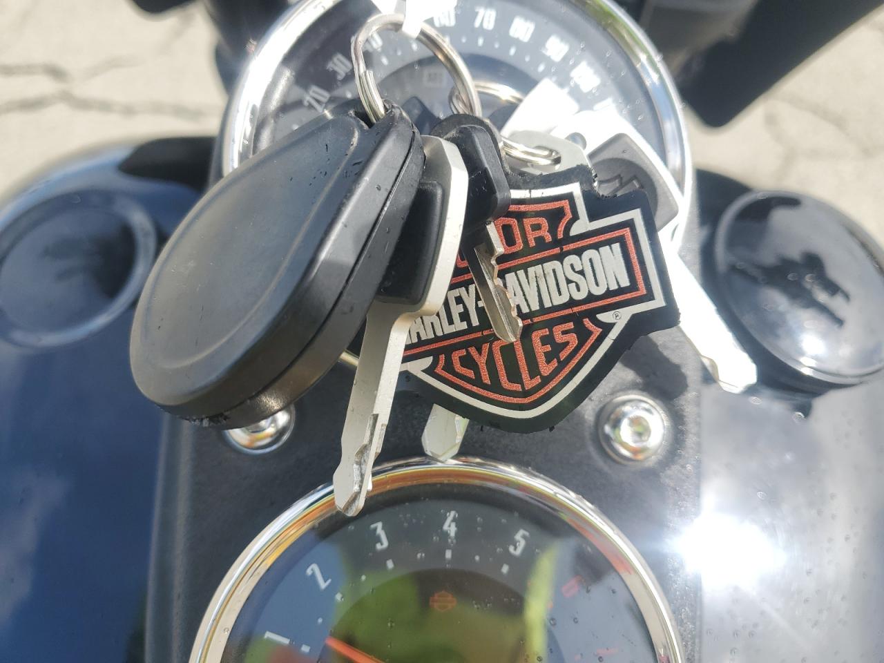 2020 Harley-Davidson Fxlrs VIN: 1HD1YWK25LB027135 Lot: 49356365