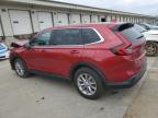 2025 Honda Cr-V Exl for Sale in Louisville, KY - Front End