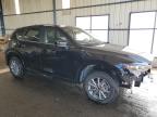 2025 Mazda Cx-5 Preferred na sprzedaż w Brighton, CO - Hail