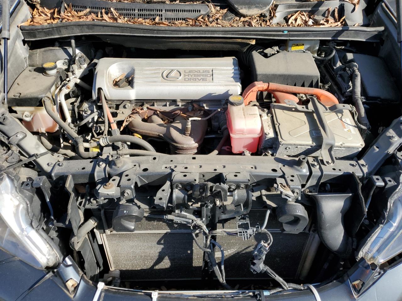 2010 Lexus HS - Image 11