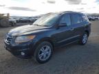 2011 Hyundai Santa Fe Limited იყიდება Helena-ში, MT - Minor Dent/Scratches