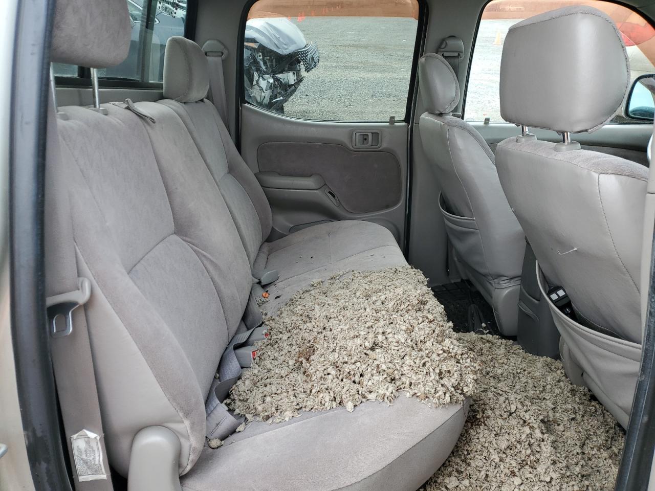 2001 Toyota Tacoma - Image 10