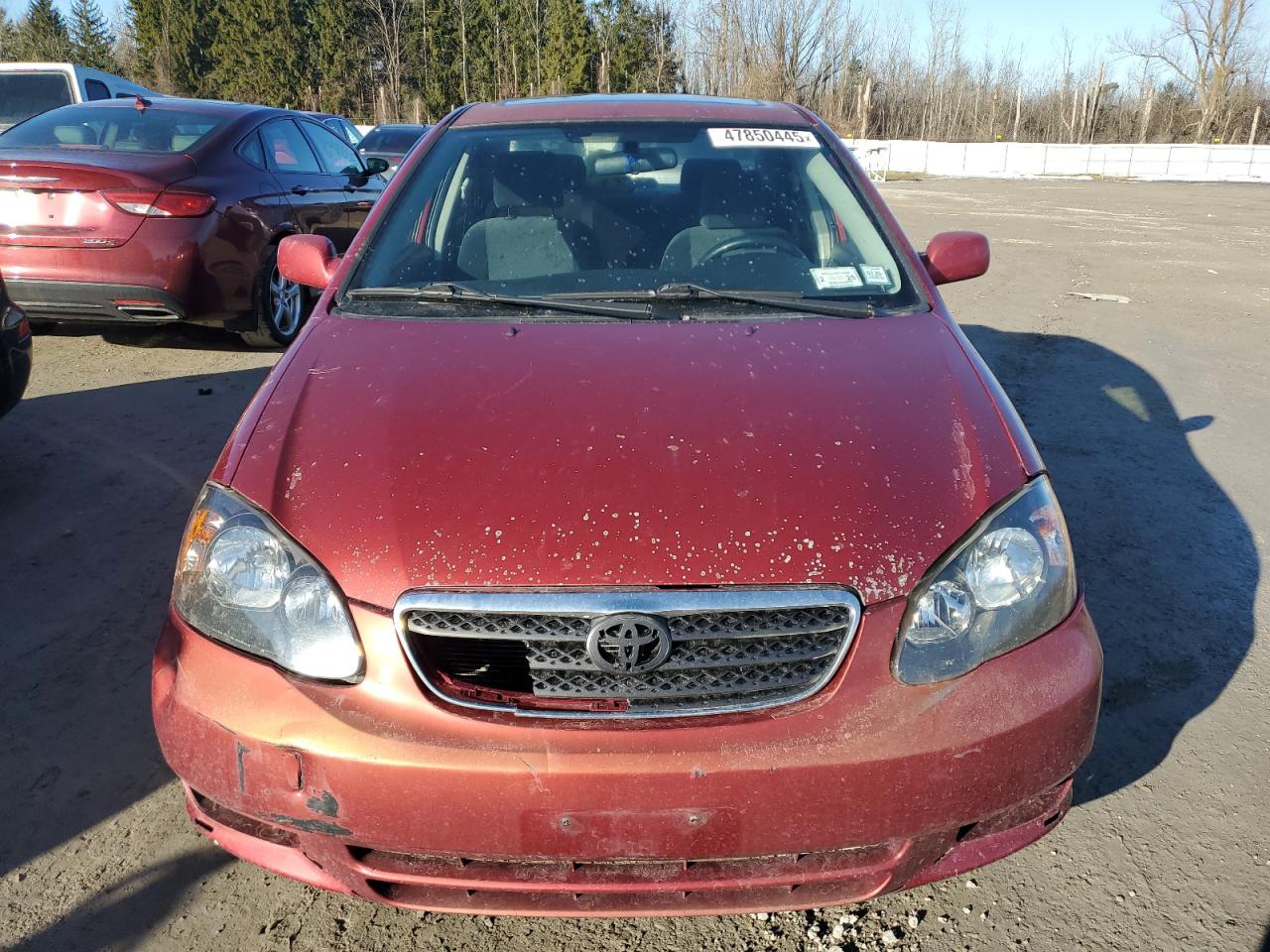 2003 Toyota Corolla - Image 5