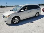2014 Honda Odyssey Exl for Sale in Arcadia, FL - Water/Flood