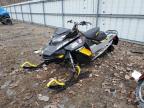 2019 SKIDOO MXZ for sale at Copart NY - ALBANY