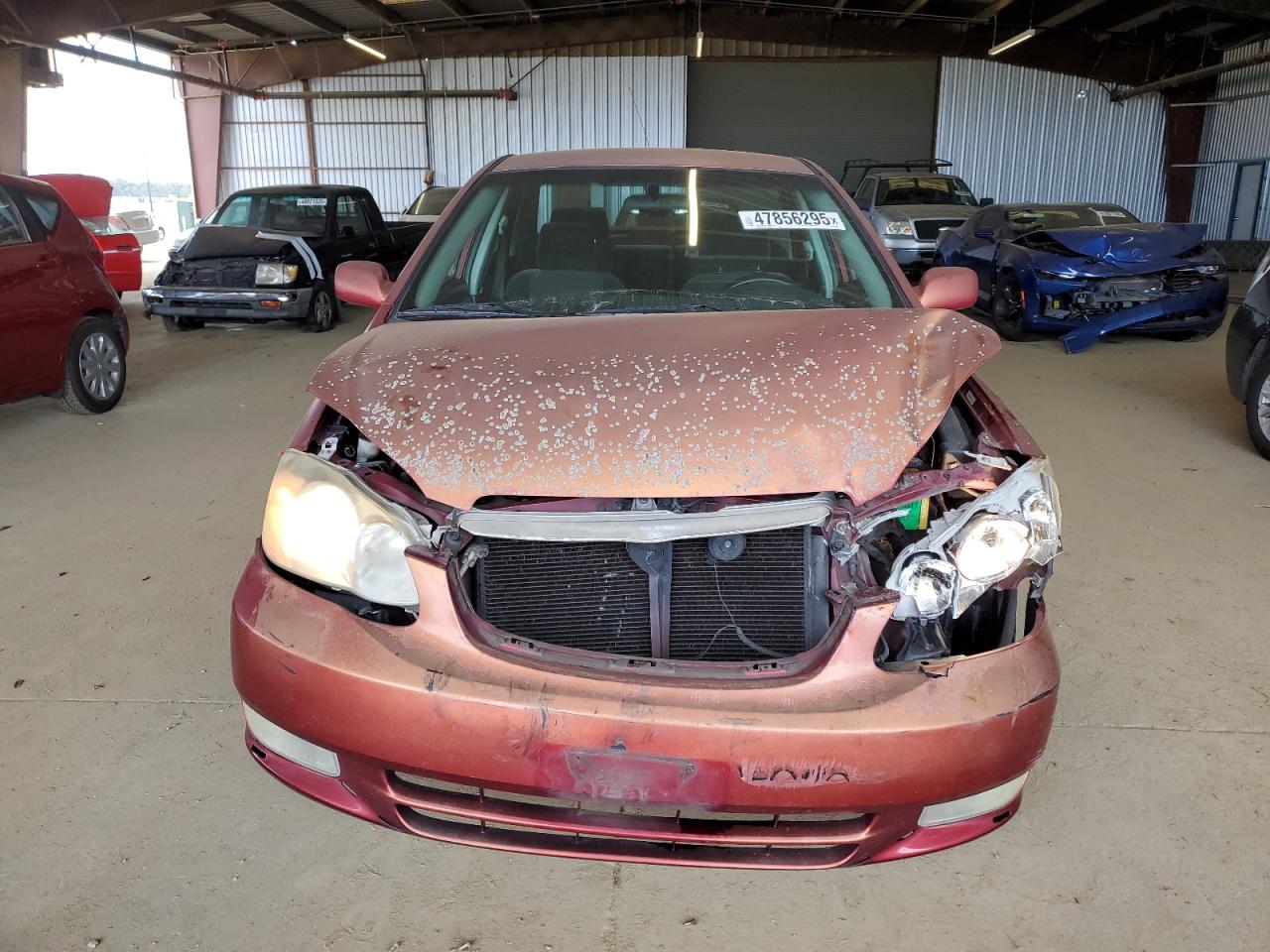 2003 Toyota Corolla - Image 5
