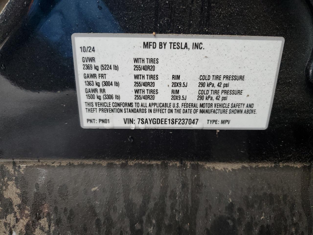 2025 Tesla Model Y VIN: 7SAYGDEE1SF237047 Lot: 48013685