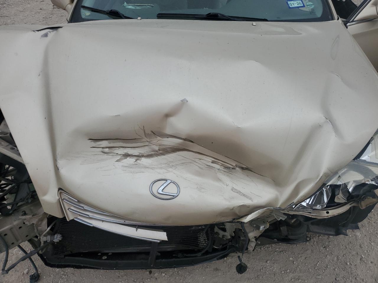 2003 Lexus Es 300 VIN: JTHBF30G336020751 Lot: 50556005