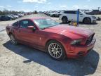 2014 Ford Mustang  for Sale in Madisonville, TN - Rear End