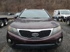 2011 Kia Sorento Base na sprzedaż w Marlboro, NY - Front End