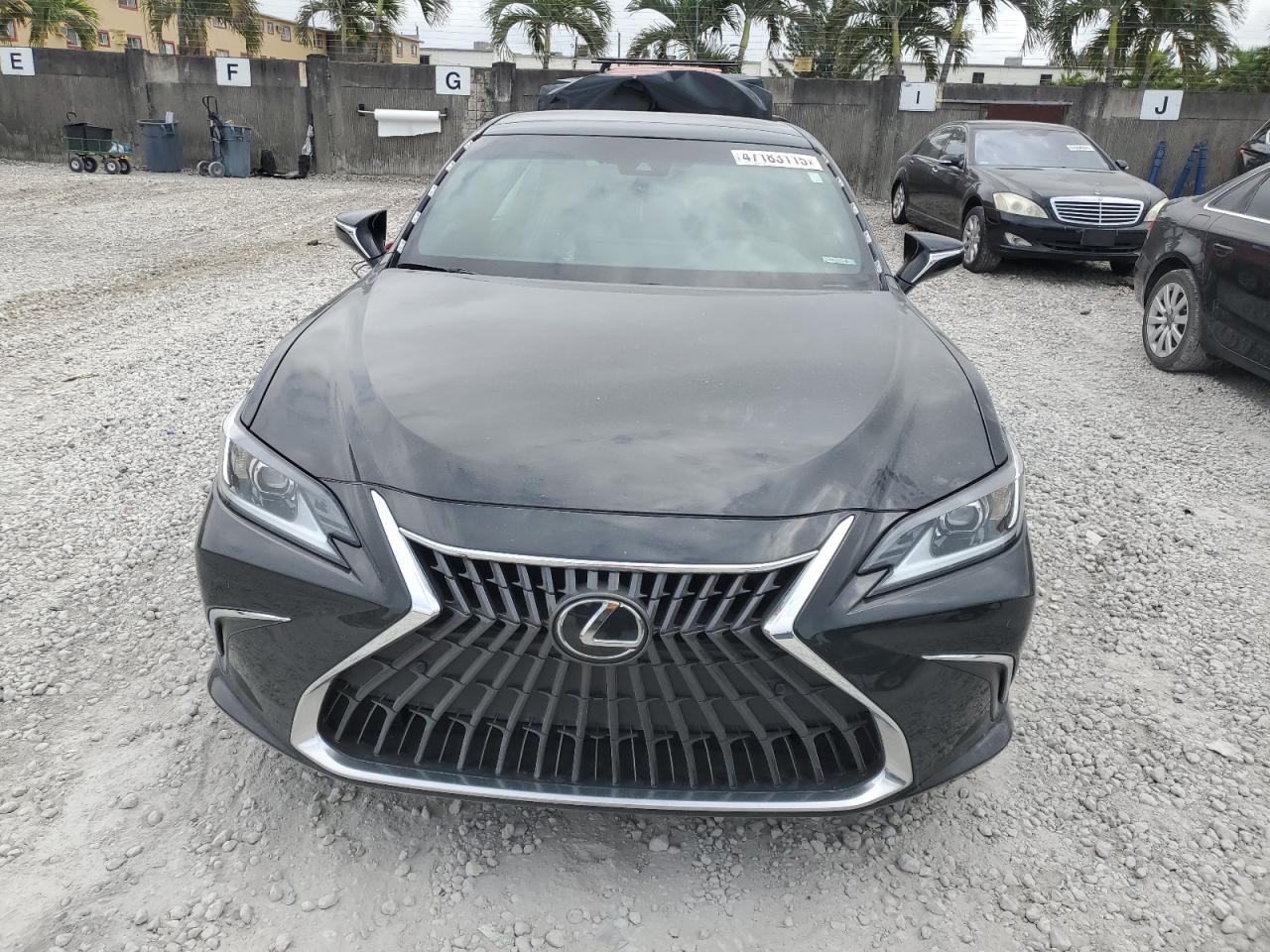 2024 Lexus ES - Image 5